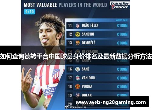 如何查询德转平台中国球员身价排名及最新数据分析方法