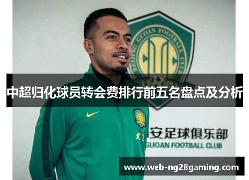 中超归化球员转会费排行前五名盘点及分析