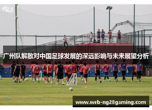 广州队解散对中国足球发展的深远影响与未来展望分析