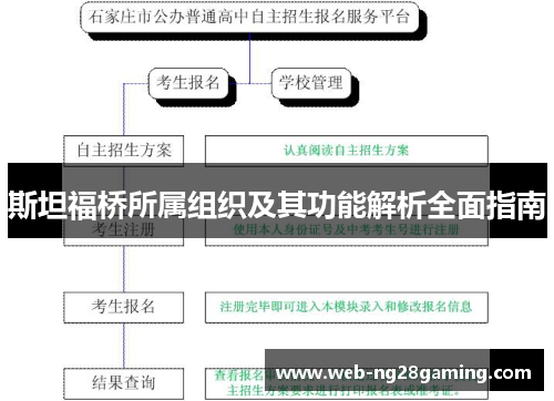 斯坦福桥所属组织及其功能解析全面指南