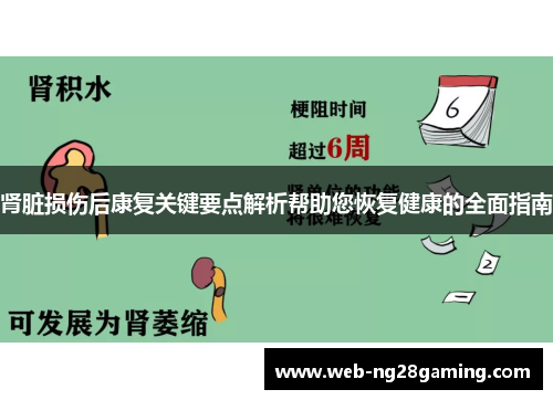 肾脏损伤后康复关键要点解析帮助您恢复健康的全面指南